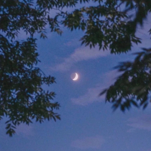 美女网站视频（黄）
