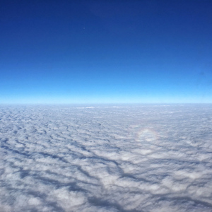 美女网站视频（黄）
