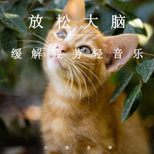 美女网站视频（黄）
